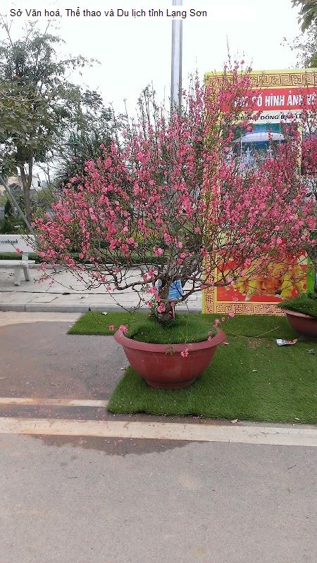 Sở Văn hoá, Thể thao và Du lịch tỉnh Lạng Sơn