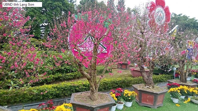 UBND tỉnh Lạng Sơn